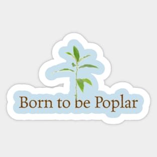 poplar Sticker